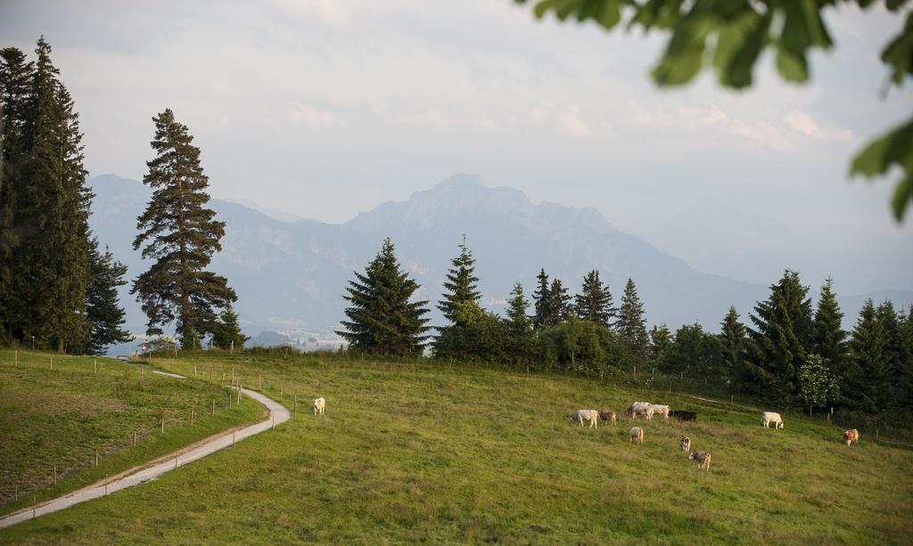 Panoramagasthof Auf Dem Auerberg Bernbeuren Esterno foto